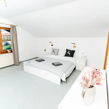 Guest house Center